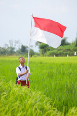 Indonesian Student Boy Raises The Red And White Flag In Rice Field Area