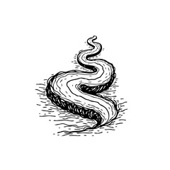 Hand drawn winding road illustration capturing journey perspective and adventure in minimalist style and design