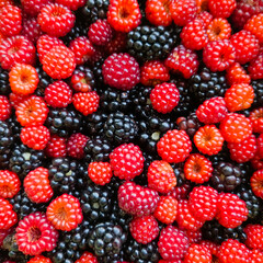 Raspberry and blackberry fresh fruit background