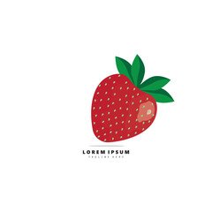 Fresh fruits in juice logo. Collection for healthy drink and food concept. with lemon, watermelon, strawberry, vector