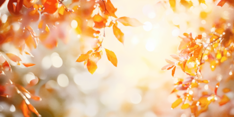 PNG Fall season nature light background.