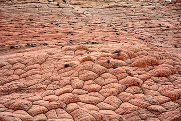 Edmaiers Secret, Utah USA