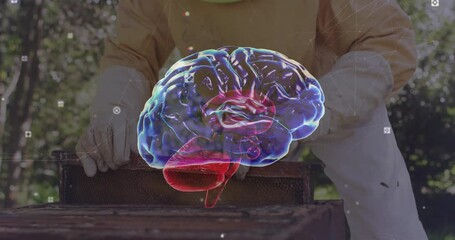 Senior beekeeper lifting hive cover and inspecting comb under rotating tech holographic brain - Powered by Adobe