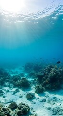 Underwater coral reef scene with sunlight.