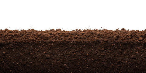 Humus Soil Border or Pile Isolated on Transparent Background PNG
Organic Humus Soil Edge or Bottom Frame for Design &ndash; Transparent PNG