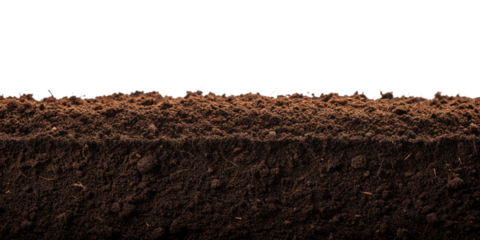 Humus Soil Border or Pile Isolated on Transparent Background PNG
Organic Humus Soil Edge or Bottom Frame for Design – Transparent PNG
