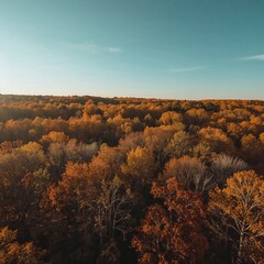 Obraz premium autumn in the mountains