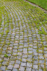 Abstract texture background of of a cobblestone walking path made of blue and gray natural granite...