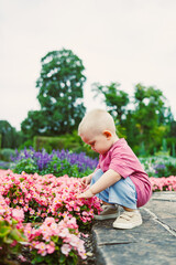 Child Enjoying Nature A Young Boy Joyfully Interacting with Beautiful Colorful Flowers in a Lush...