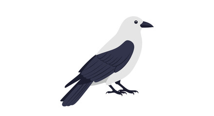 Obraz premium Isolated Illustration of a Pied Crow Perched Peacefully, Simple Depiction of an African Bird of Prey with its Black and White Feathers, Vector Art
