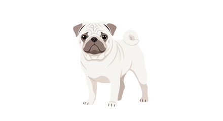 Obraz premium Charming albino pug illustration with adorable expression on a clean white canvas for a bright presentation of the canine breed