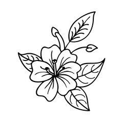 Elegant Line Art Drawing of a Hibiscus Flower and Leaves