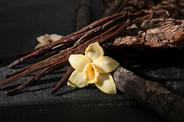 Branch with dried vanilla sticks and flowers on black grunge background, closeup