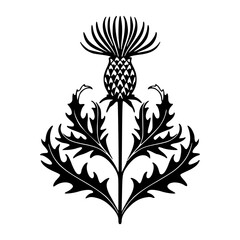 floral thistle symbol  vector art