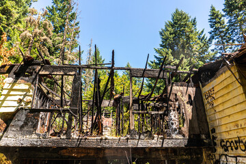 Burnt House in the Evergreen Forest