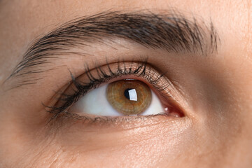 Woman with beautiful brown eyes, closeup