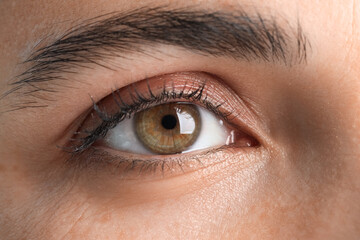 Beautiful woman with brown eyes, closeup