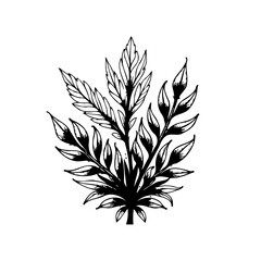 Elegant botanical drawing showcasing intricate details of foliage and leaves in a minimalist style for artistic expression
