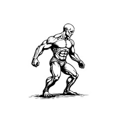 Detailed anatomical drawing showcasing the muscular physique of a male bodybuilder in striking pose full display