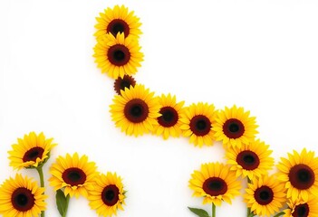 Fototapeta premium Sunflowers arranged in the shape of a capital L against a pure white background, shape, art