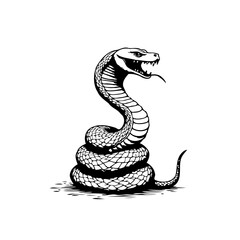 Aggressive cobra snake illustration coiled and striking with sharp fangs poised to attack danger drawing