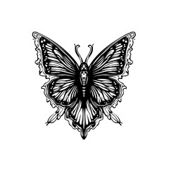 Intricate black and white butterfly illustration showcasing detailed wings and symmetrical design for artistic applications and creative projects