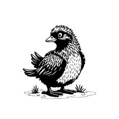Charming monochrome illustration: A delightful depiction of a fluffy duckling standing on the grass illustration