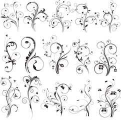 Abstract floral design elements: A decorative vector art set featuring ornate black silhouettes of vintage flowers, leaves, scrolls, and swirling plant patterns for nature-inspired illustrations and t