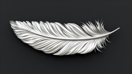 Obraz premium A silver feather on a dark background.