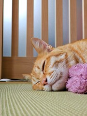 A ginger tabby cat sleeps peacefully on a traditional tatami mat, its head nestled on a soft pink...