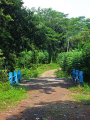 View of a dirt road through the small bridge and leads to the forest on a sunny day. 