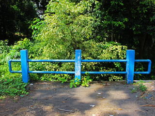 View of the blue bridge railing with bushes in the background.