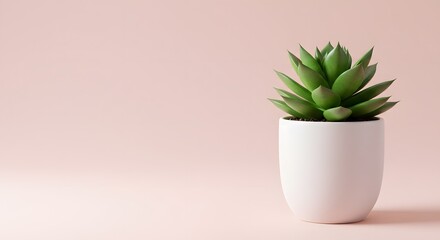 A small green succulent plant in a white pot sits against a soft pink background, creating a minimalist and calming aesthetic.