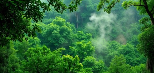 Dense emerald canopy, steam rising, lush vegetation, August humidity, Southeast Asia,  moisture