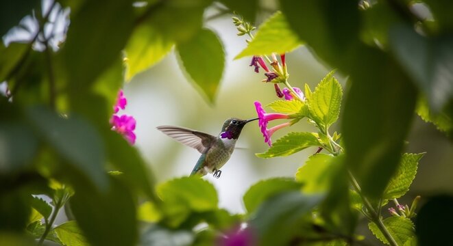 A tiny hummingbird hovers in mid-air, its beak dipped into a vibrant pink flower, framed by lush green foliage. - Powered by Adobe