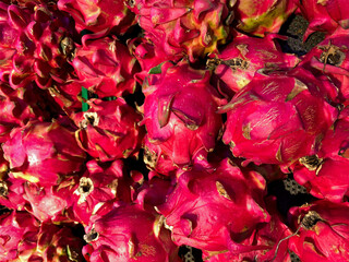Freshly harvested tropical red dragon fruits displayed in the market