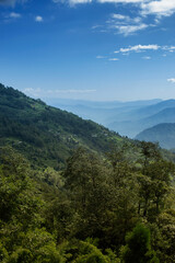 Scenic beauty of Green forests of Himalayan mountains, Okhrey, sikkim, India. Okhrey village is remote place in Sikkim where peaceful, tranquil Himalayan mountain range is enjoyed by tourists.