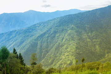 Scenic beauty of Green forests of Himalayan mountains, Okhrey, sikkim, India. Okhrey village is remote place in Sikkim where peaceful, tranquil Himalayan mountain range is enjoyed by tourists.