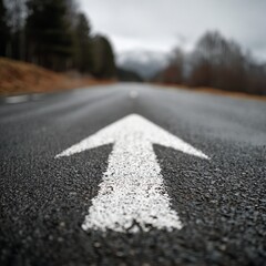 An arrow marked on the road, symbolizing direction and guidance 