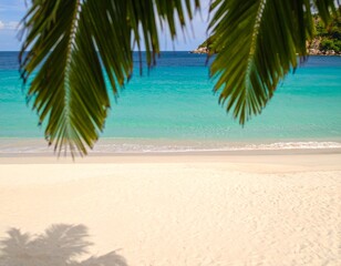 Obraz premium Summer sea and seascape with palm branches