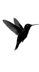 Obraz premium A monochrome illustration of a hummingbird in flight with wings spread on a white background