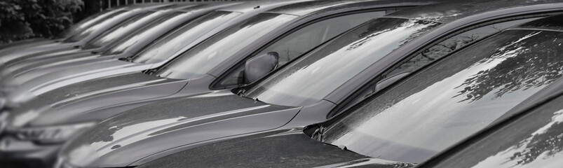dealership and service. second hand. same group team a lot Cars VEHICLE auto in a row EV dealership