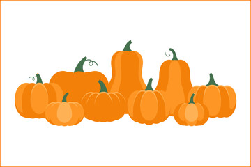 Pumpkin group illustration, autumn harvest pumpkin set, orange pumpkin collection, vector illustration, Halloween design