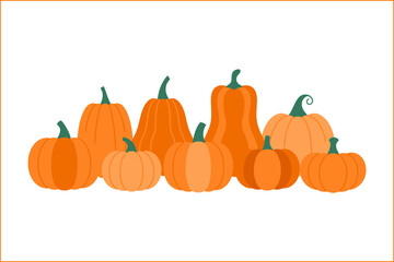Pumpkin patch illustration, group of orange pumpkins, autumn harvest collection, vector illustration, Halloween design