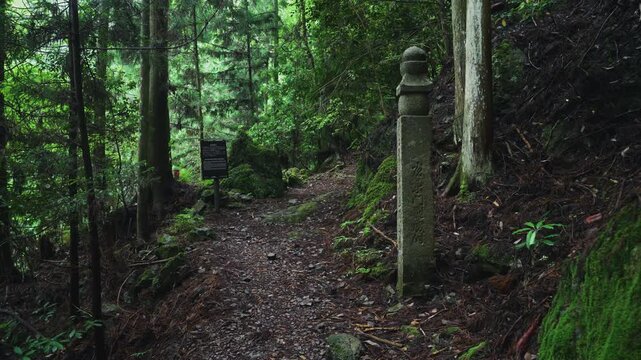 Sacred Kesa-kake-ishi Rock near the 55th Choishi Marker on the Pilgrimage Path to Koyasan 世界遺産 高野参詣道 町石道 55町石 「袈裟掛石(鞍掛石・くぐり石)」和歌山県高野町