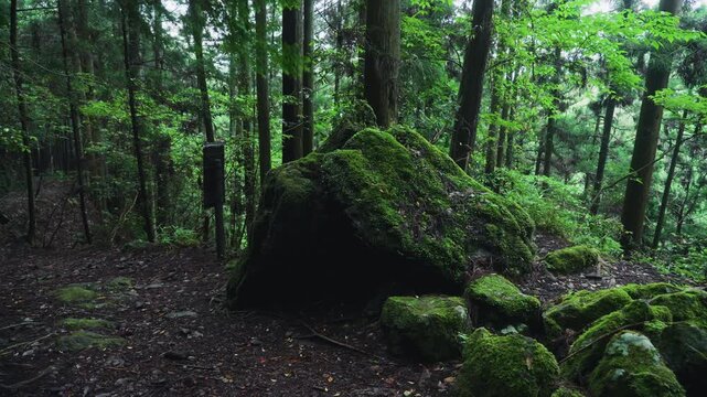 Sacred Kesa-kake-ishi Rock near the 55th Choishi Marker on the Pilgrimage Path to Koyasan 世界遺産 高野参詣道町石道「 55町石 ・袈裟掛石(鞍掛石・くぐり石)」和歌山県高野町