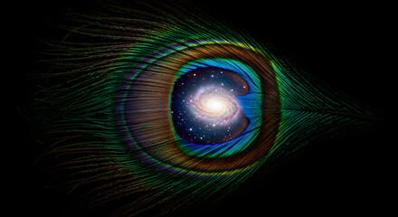 Obraz premium Cosmic Eye: Galaxy Within a Majestic Peacock Feather