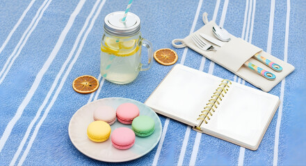 A simple yet aesthetic summer picnic in a backyard setting. Features a blue striped blanket, mason jar lemonade, pastel macarons, an open planner, reusable cutlery, and dried citrus slices.