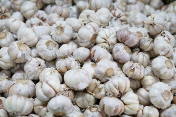 pile of garlic for kitchen ingredient background