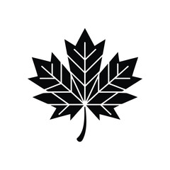 Stylized dark gray maple leaf silhouette with detailed veins